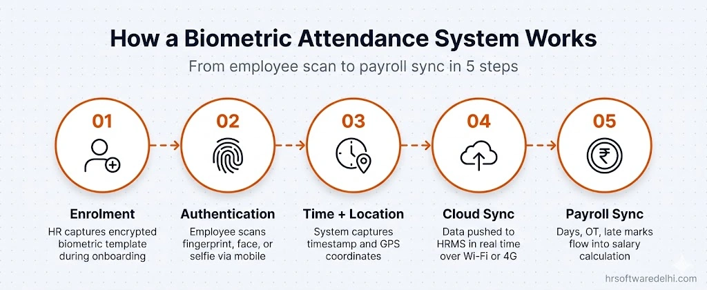 How a biometric attendance system works in 5 steps from enrolment to payroll sync